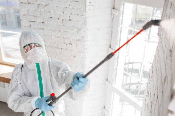 Mold Remediation for Rental Properties in Primera, TX